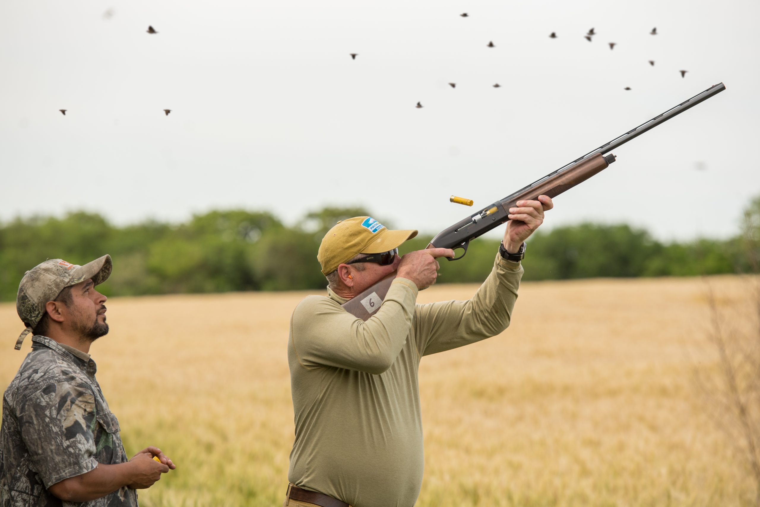 dove hunting trips in argentina