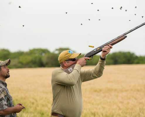 argentina dove hunting outfitters