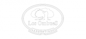 Los Ombues Lodge | Bird hunting in Entre Rios Argentina